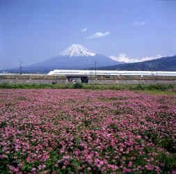 S0006.jpg (119708 bytes)