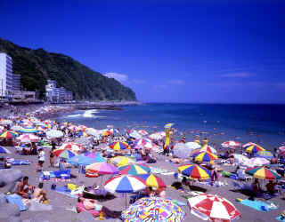 S0011.jpg (141086 bytes)