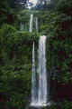 Waterfall.jpg (18403 bytes)