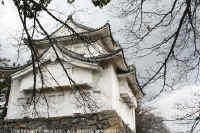 Nagoya_castle.JPG (90799 bytes)